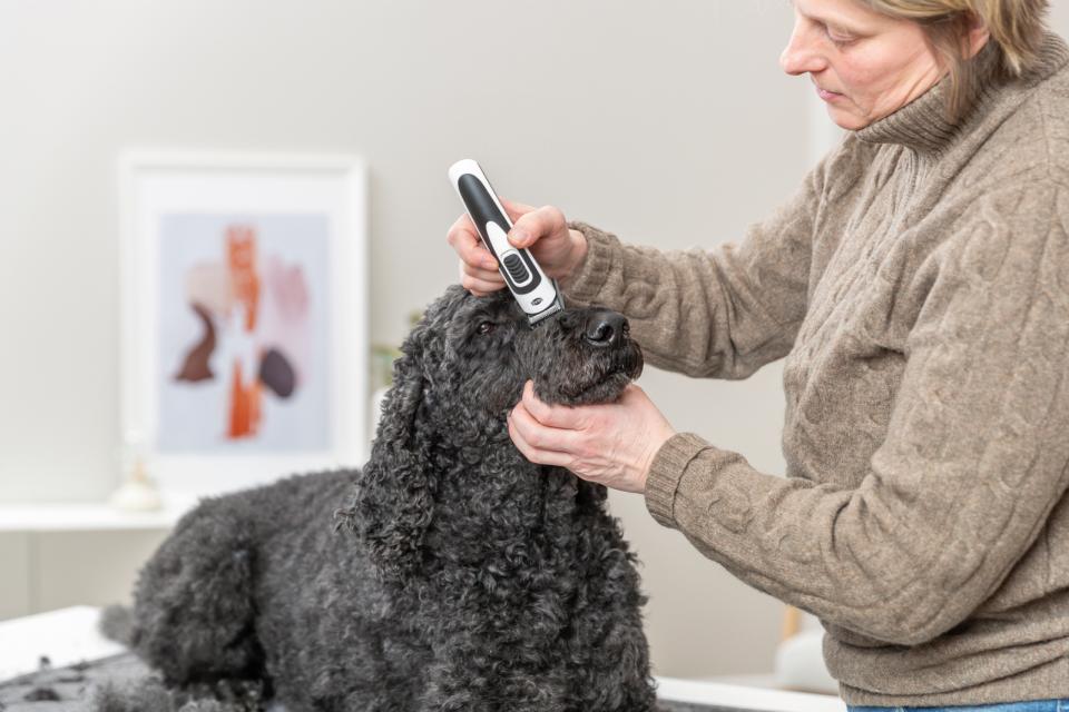 Trixie Battery Clipper SLIM TR500