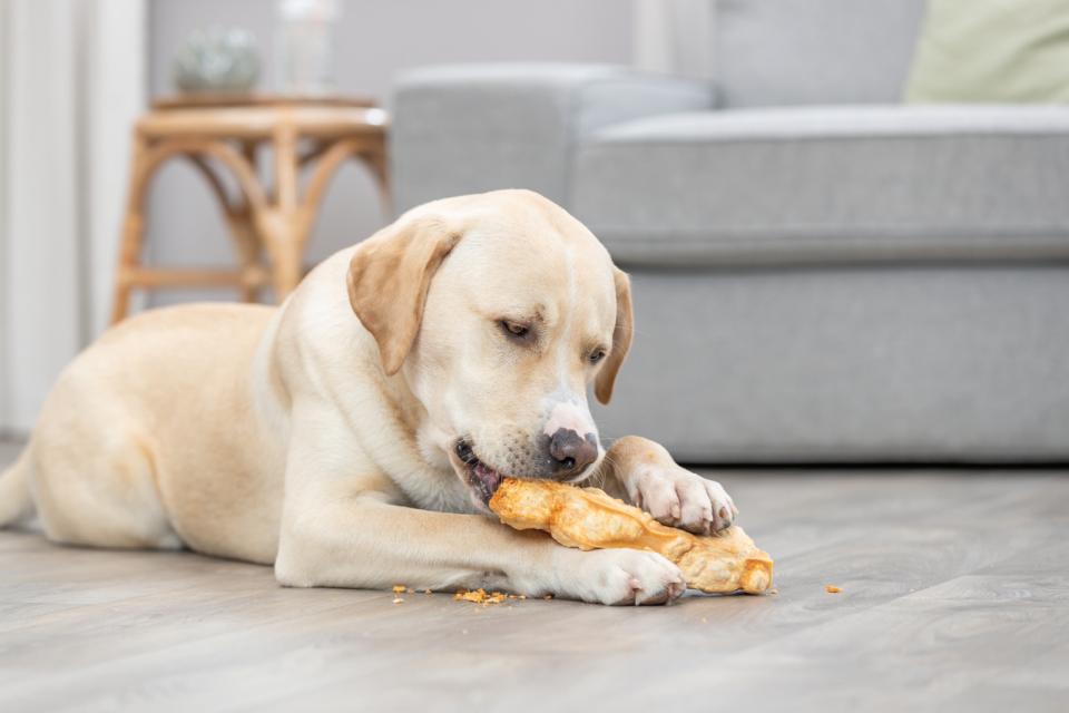 Trixie Kaustangen, Käse