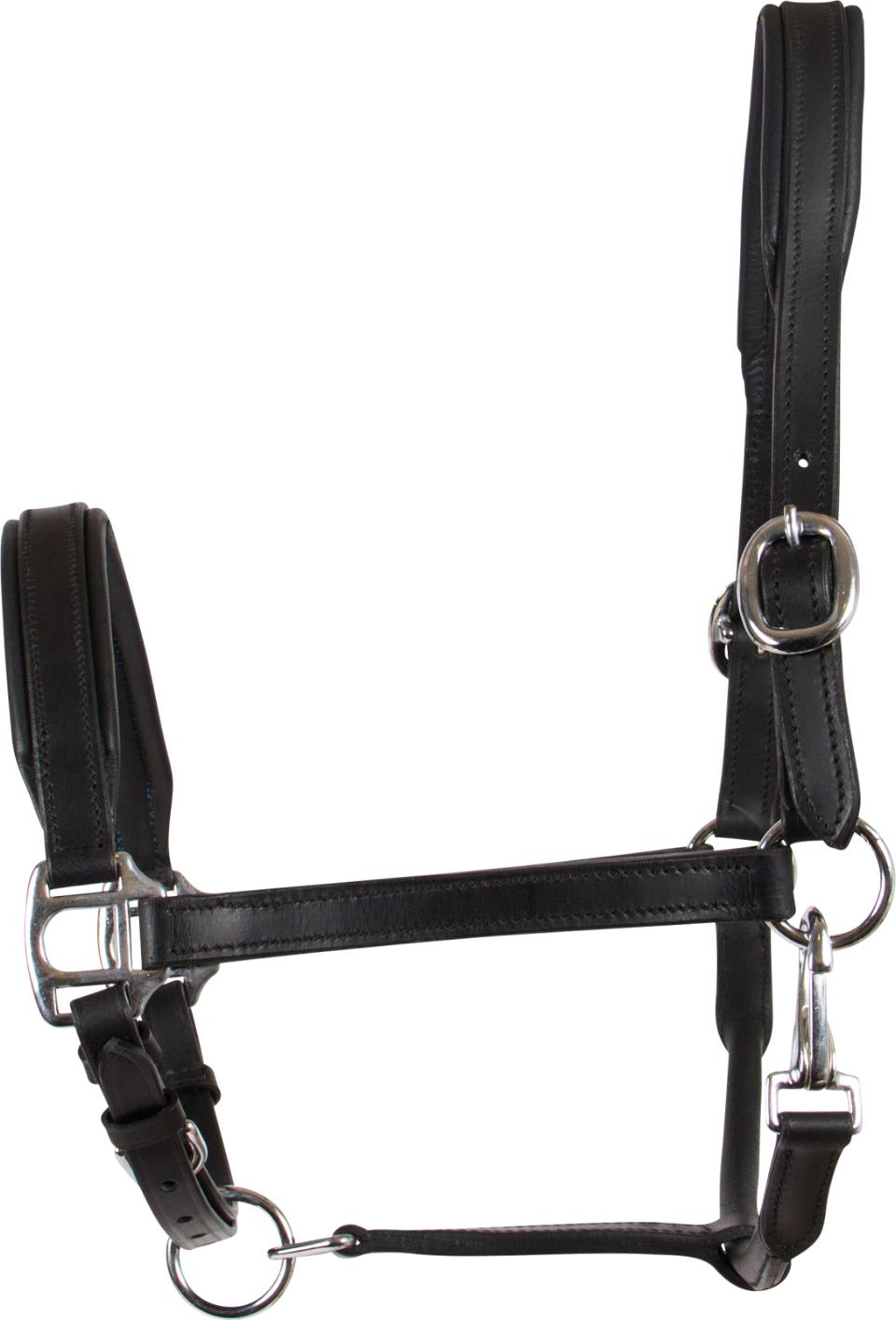 HorseGuard lädergrimma