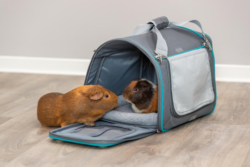 Trixie Vicky bære- og transporttaske