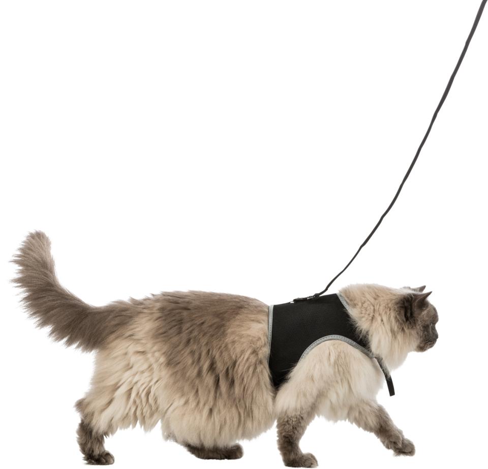 Soft Harness XXL with Leash