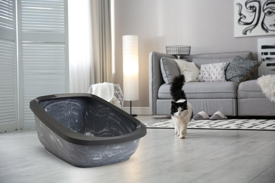 Savic Aseo Jumbo Katzentoilette