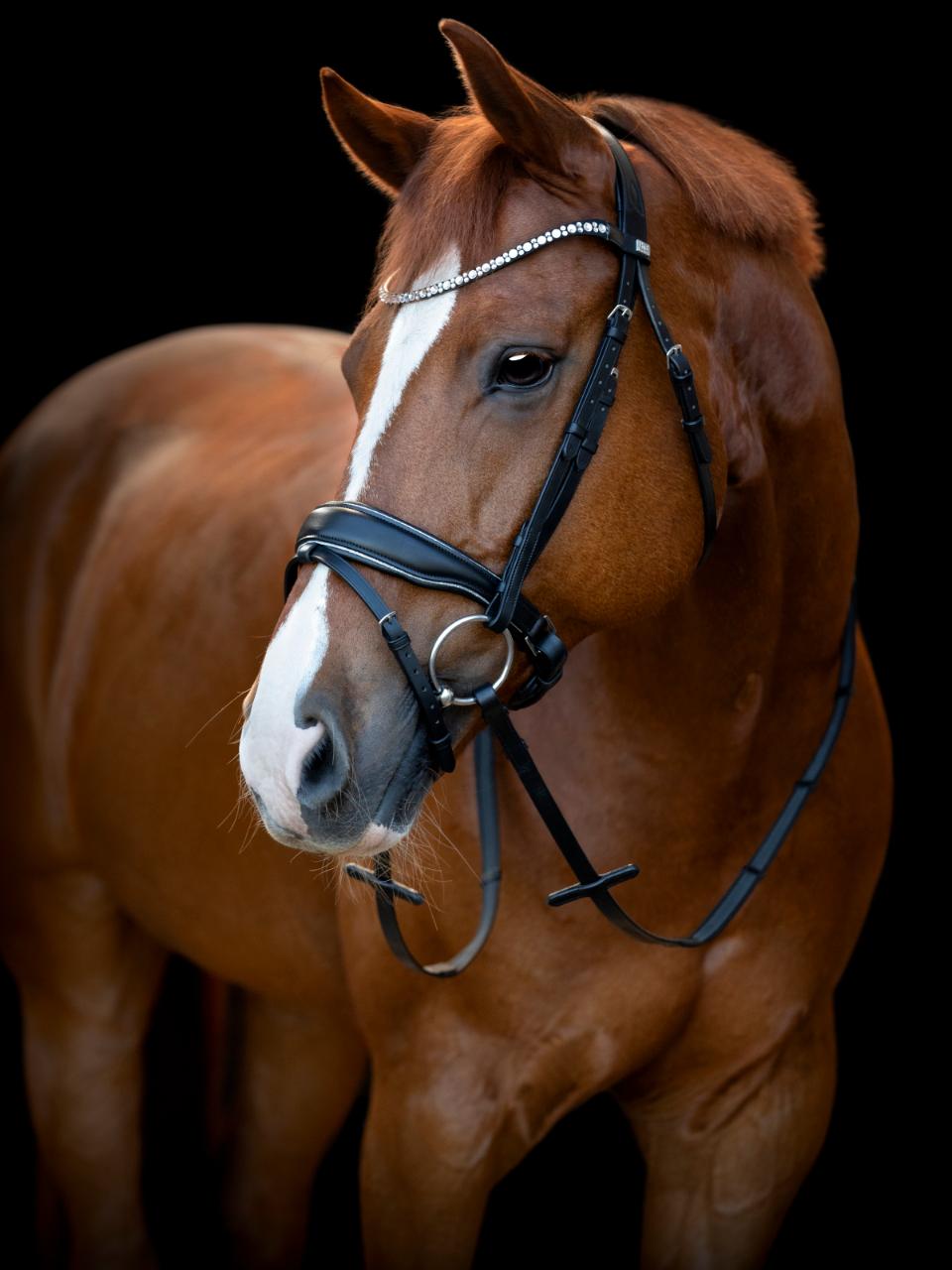 HG Cryll 25.1 Trense komb. mit Zugband