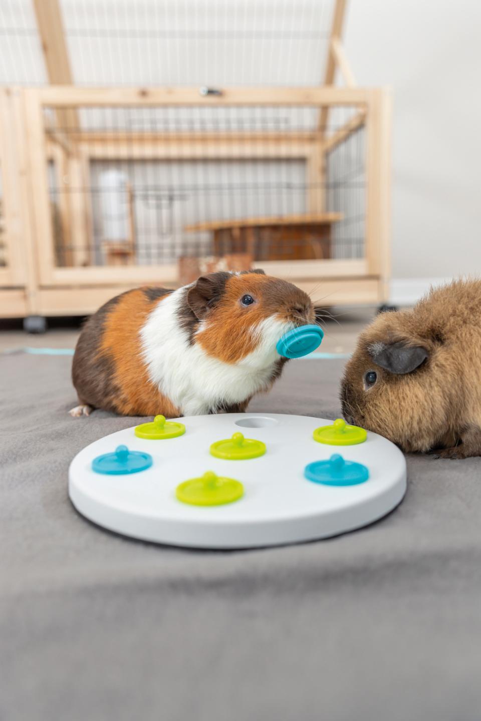 Snack Board Strategy Game