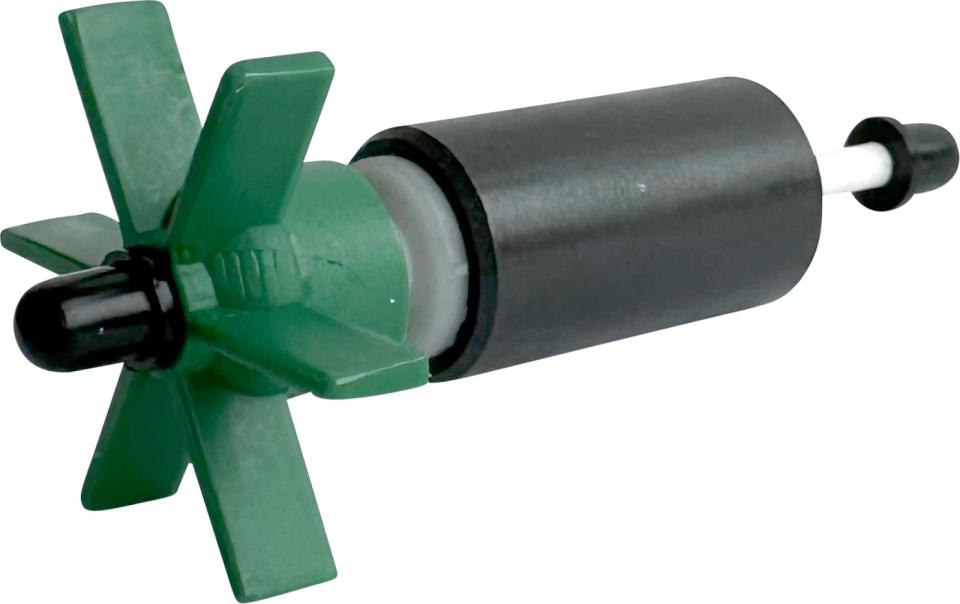 Rotor + Shaft and Bearings