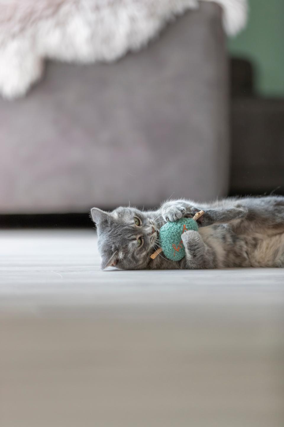 Trixie Matatabi Hjerte