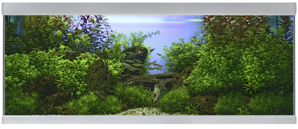 AkvaStabil FUSION aquarium
