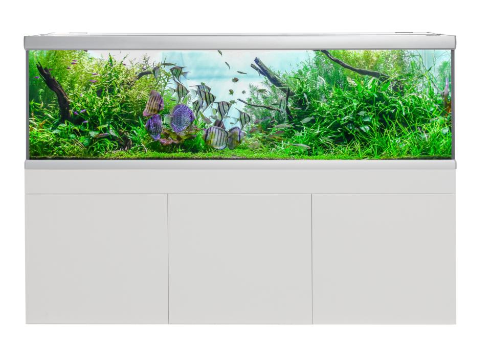 AkvaStabil FUSION akvarium