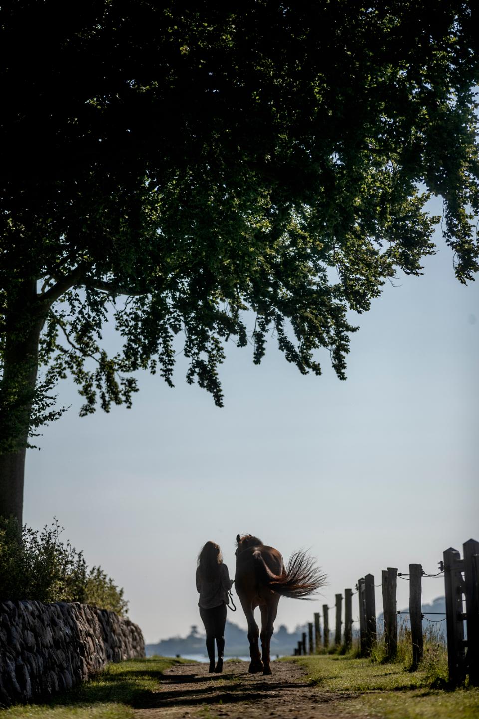 Equipage Miles zip Reitjacke