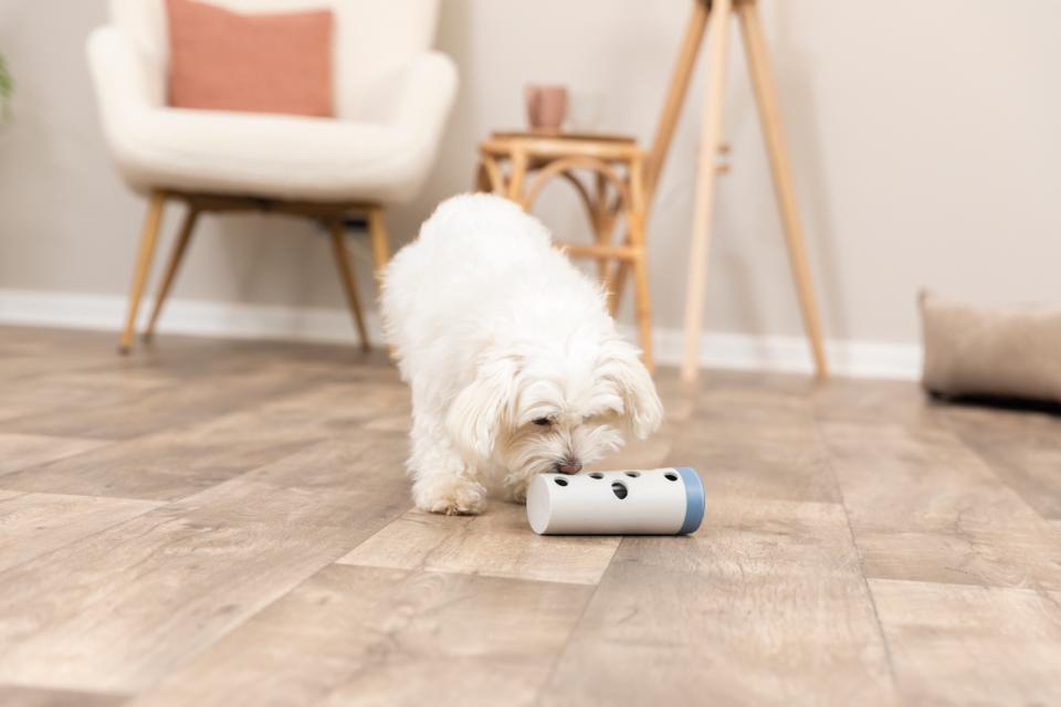 Snack Roll, Kunststoff/Naturgummi