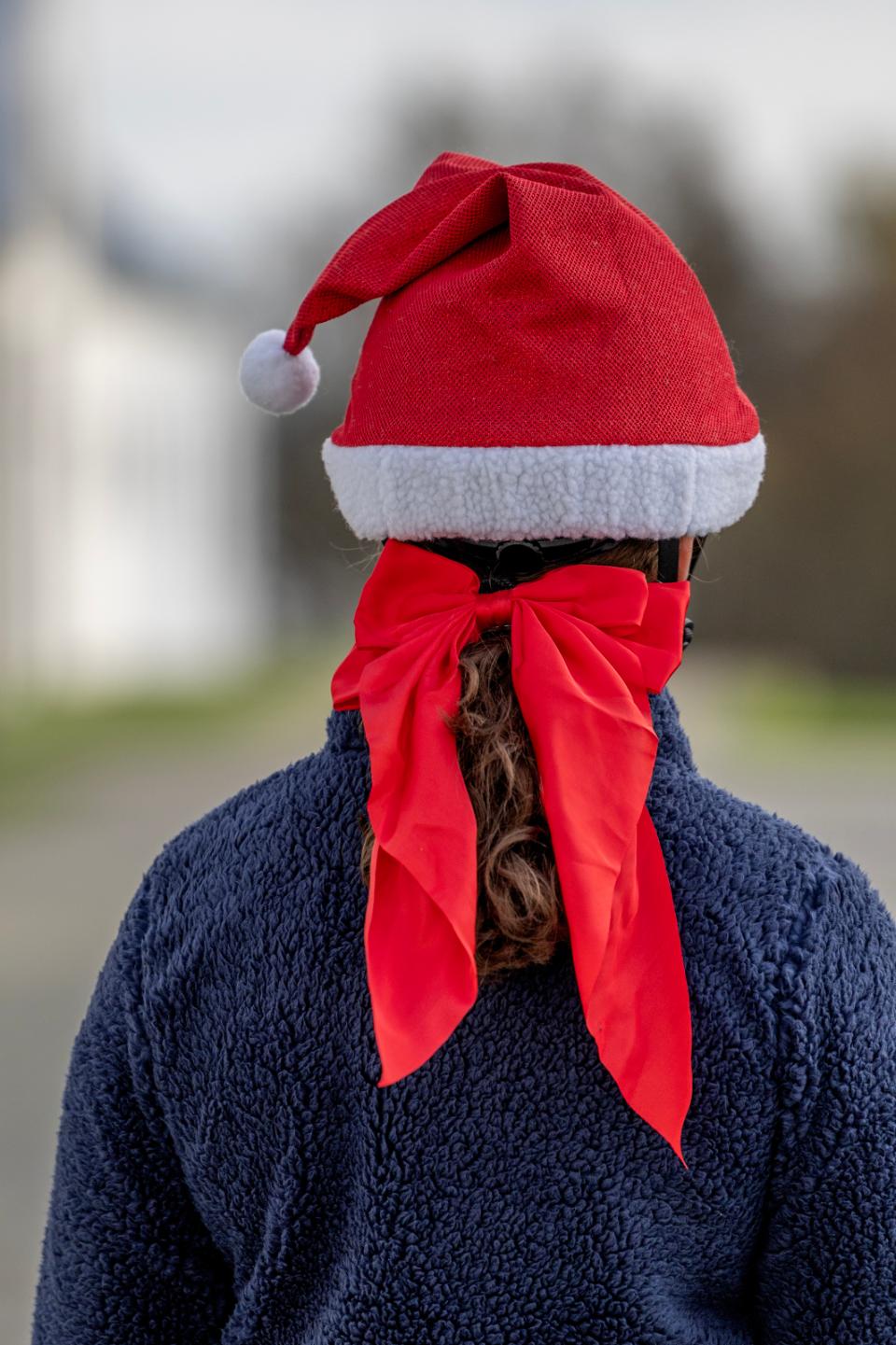 HorseGuard julesløjfe