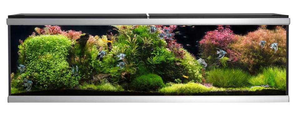 AkvaStabil MOVE akvarium - 720 liter
