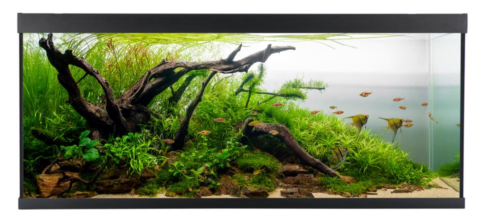 AkvaStabil ELEMENT Aquarium
