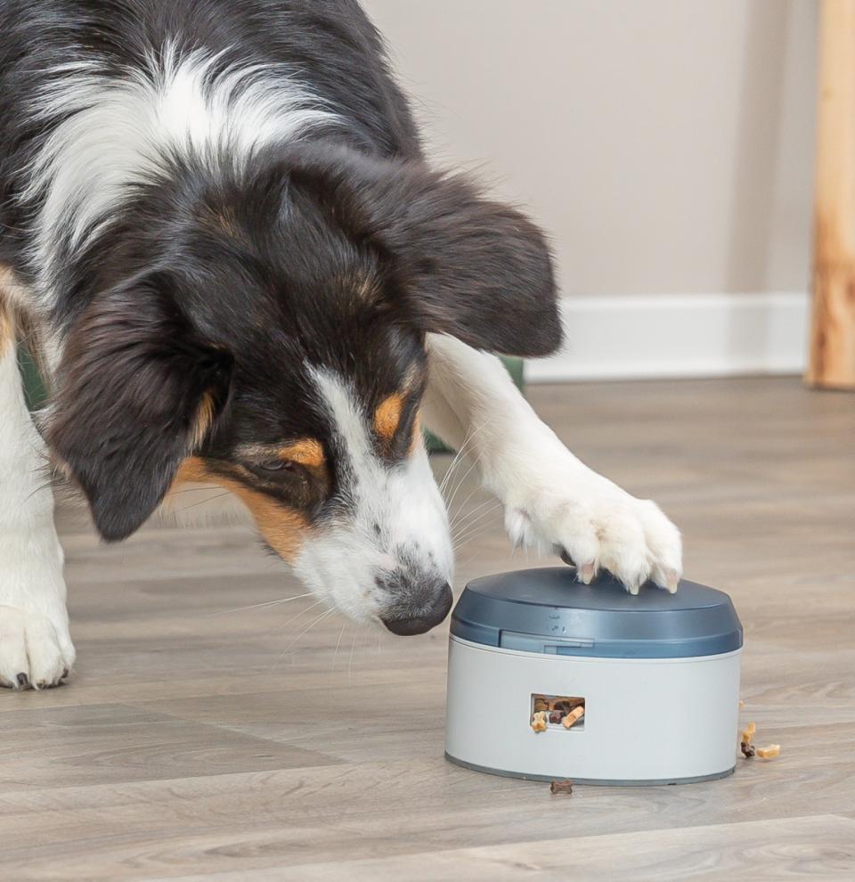 Trixie Dog Activity Buzzer, plast