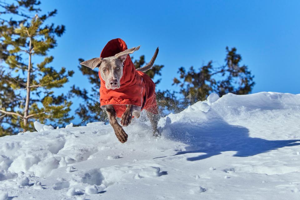 Hurtta Extreme Warmer III ECO