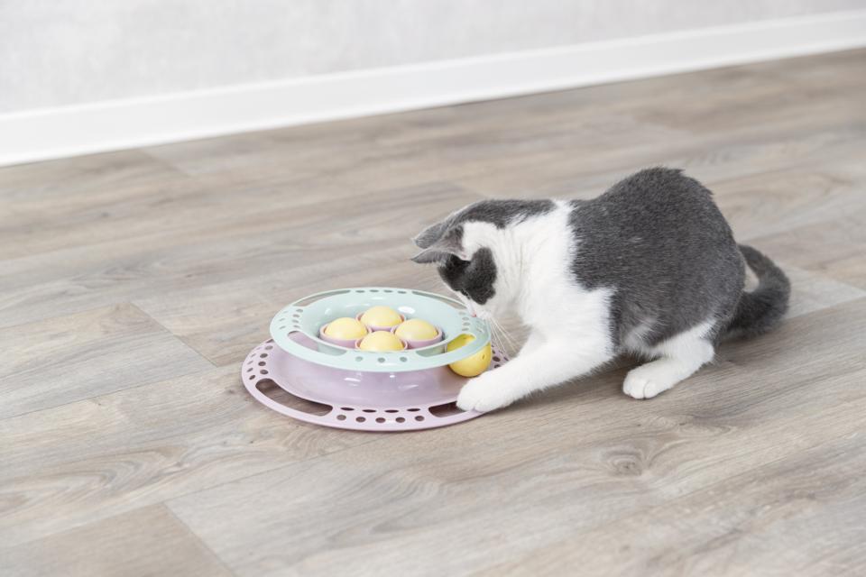 Junior legecirkel til killinger