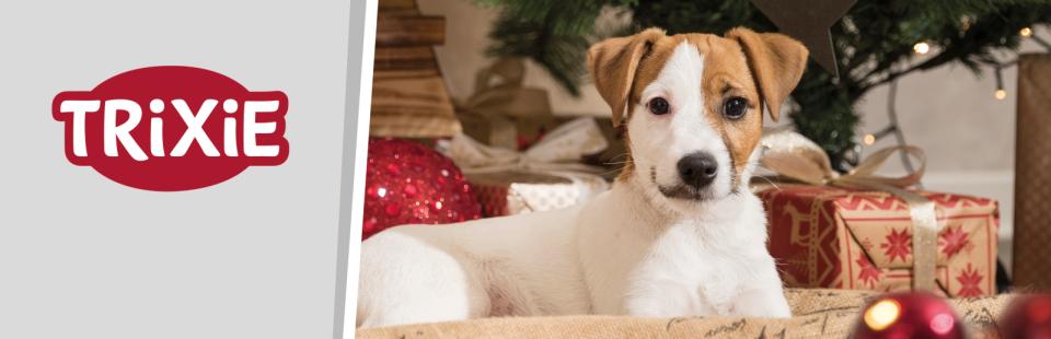 Trixie Magnetic fascia Xmas