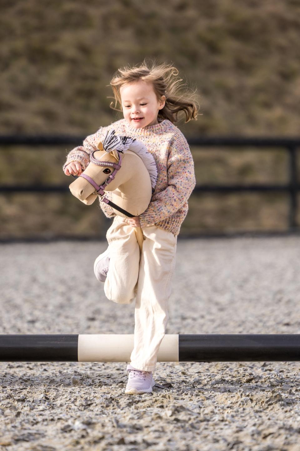 My Hobby Horse Käpphäst Fjord