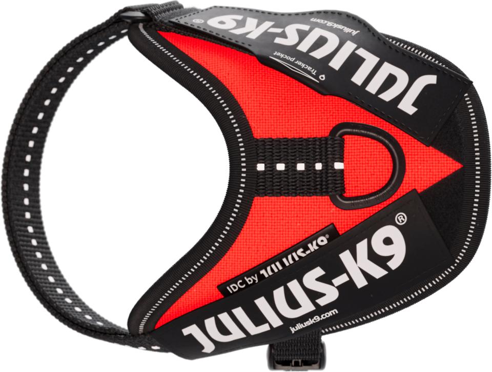 IDC harness, 29-36 cm