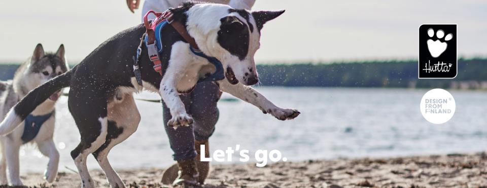 Hurtta Topskilt, Weekend Warrior Warming sele, hund på spring