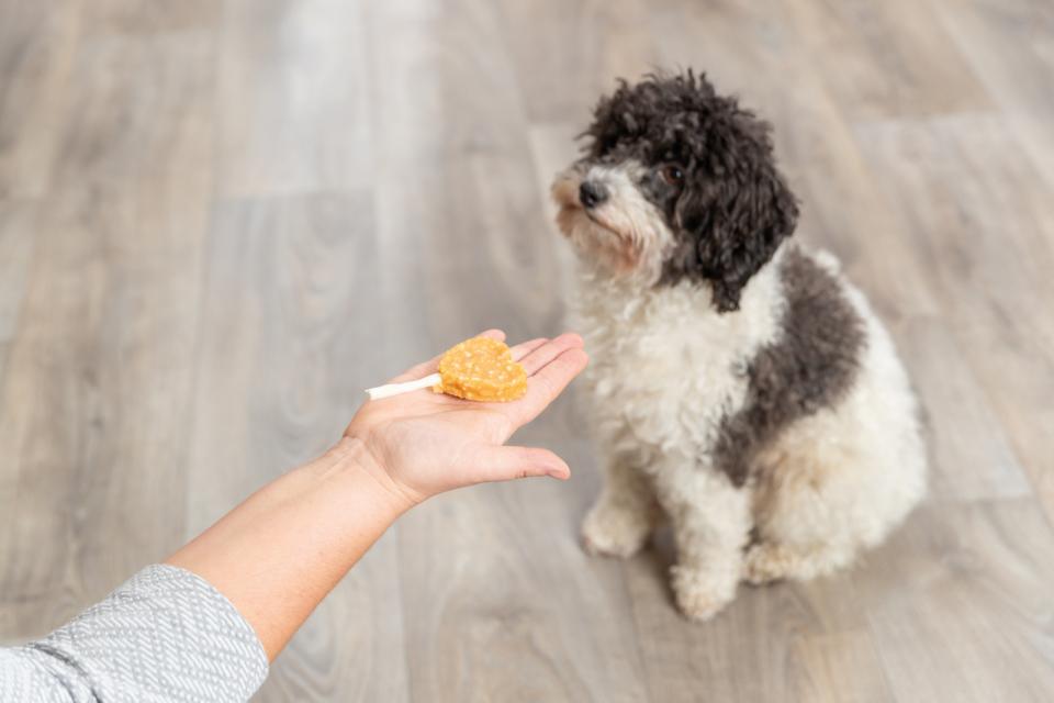 Trixie PREMIO Lolly with chicken and rice