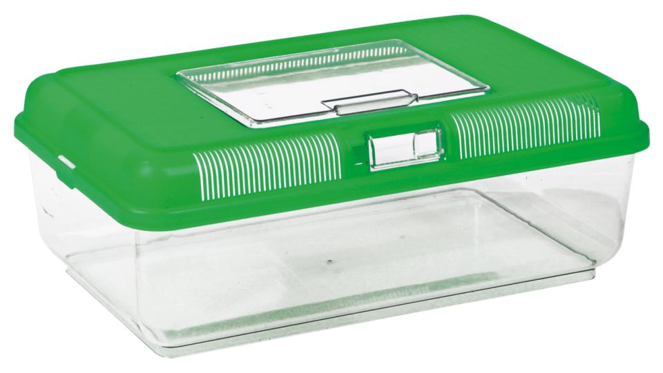 Transport and Feeding Box