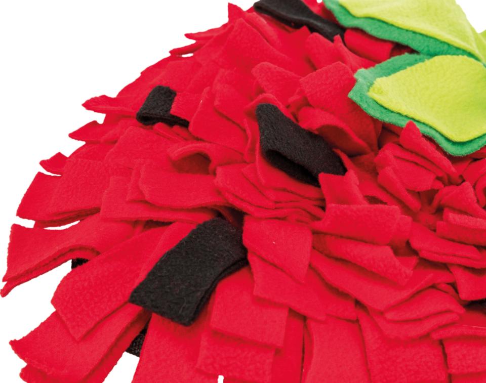 Trixie strawberry sniffing carpet for rodents