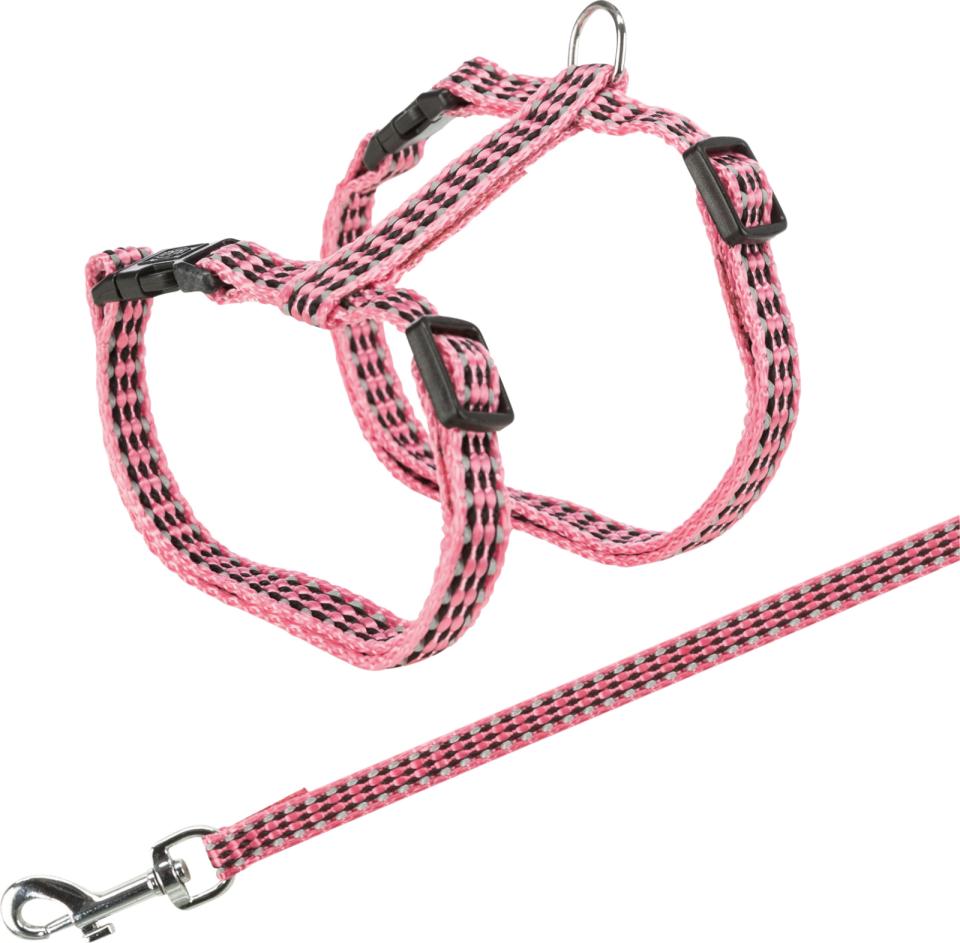 Harness with Leash, Reflecting