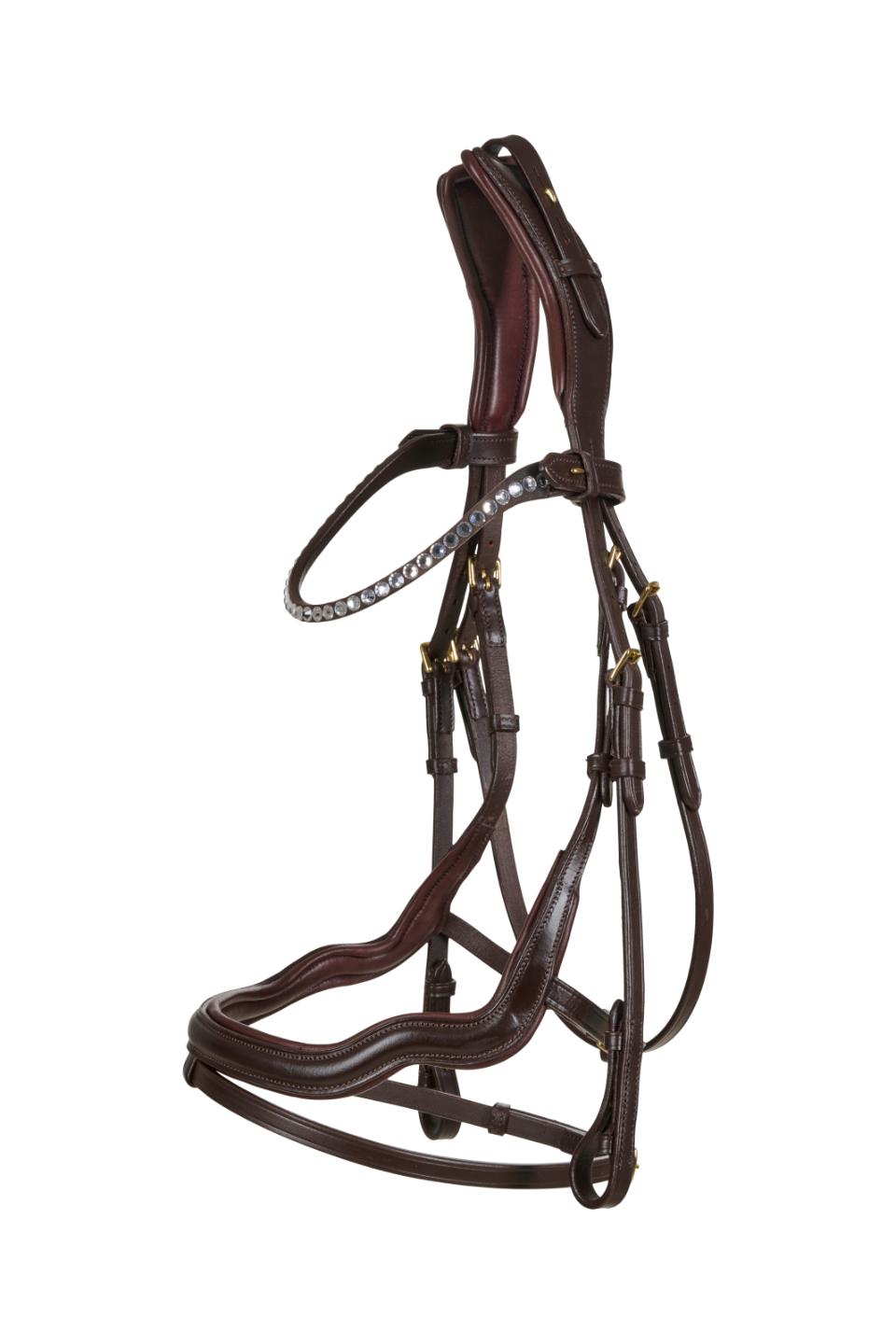 CATAGO Sienna jumping bridle with flash