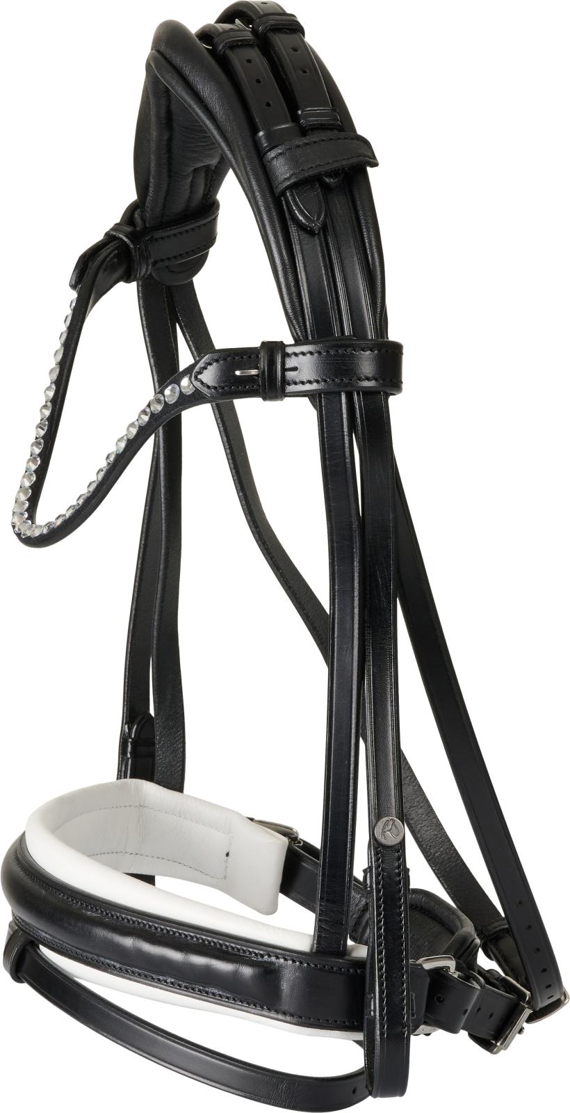 CATAGO Savi bridle w/ flash & pullback
