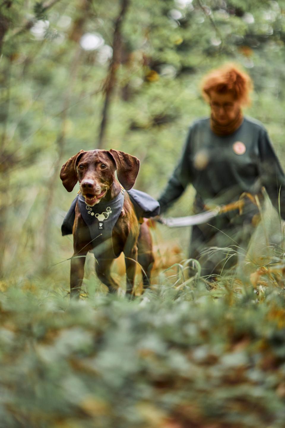 Hurtta Expedition Pack ECO dog harness