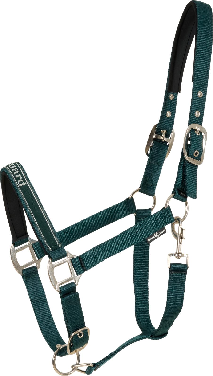 Horse Guard Sandra halfter