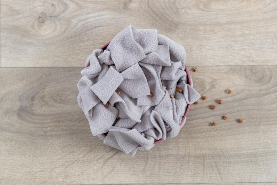 Trixie Cat Activity Hide'n'Sniff Bowl, plast