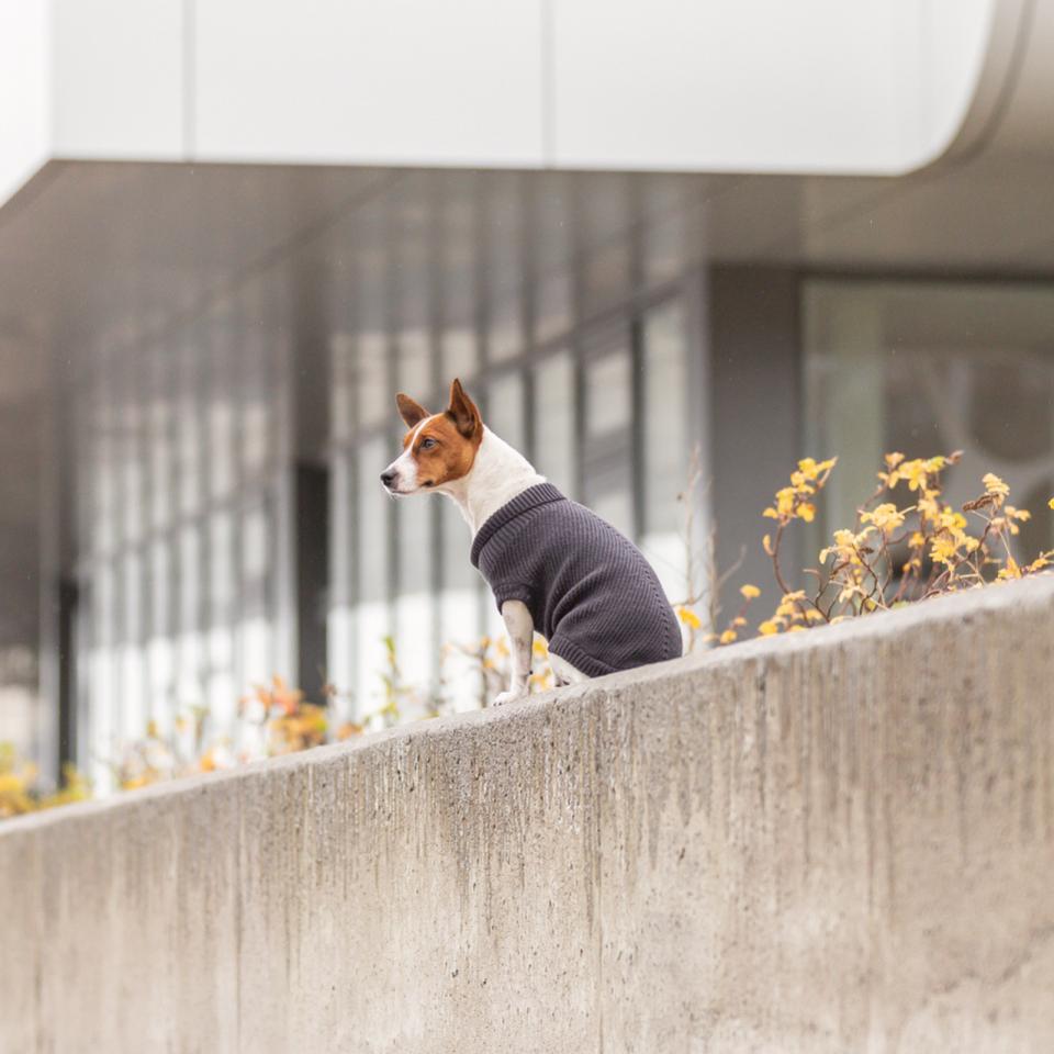 CityStyle Berlin pullover