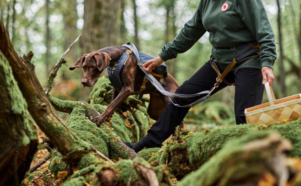 Hurtta Expedition ECO belt