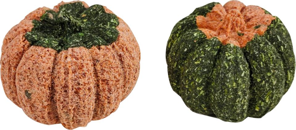 Companion pumpkin chewing toy for rodents