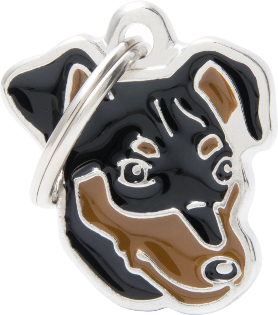 MyFamily Friends, Pinscher