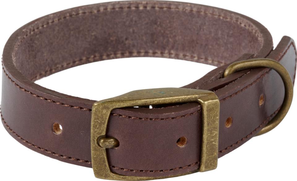 Companion Lederhalsband für Hünde