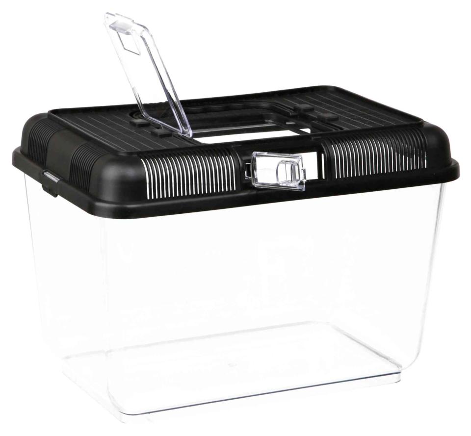 Transport and Feeding Box