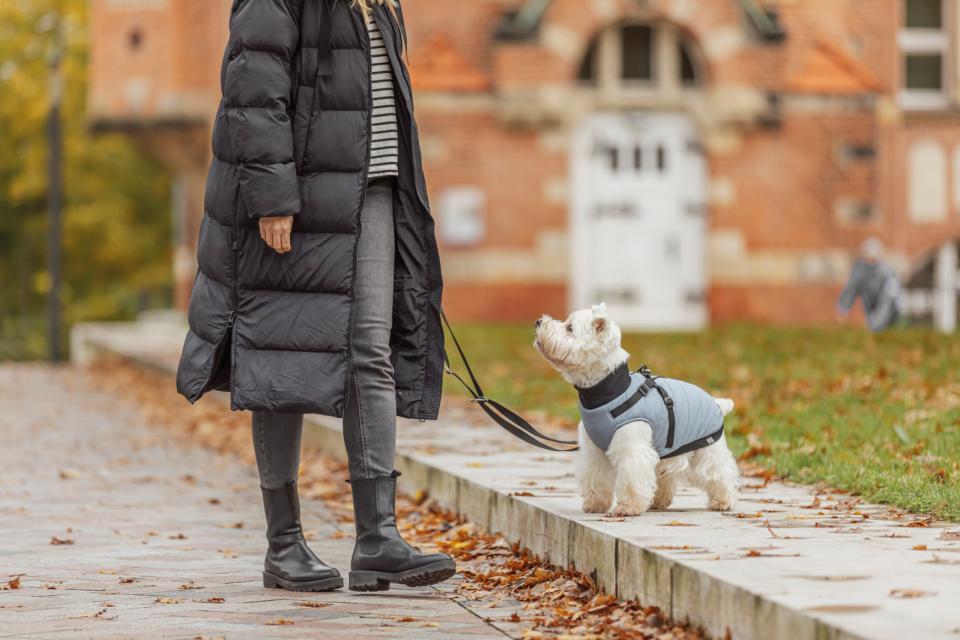 Trixie Pontis dog blanket with harness