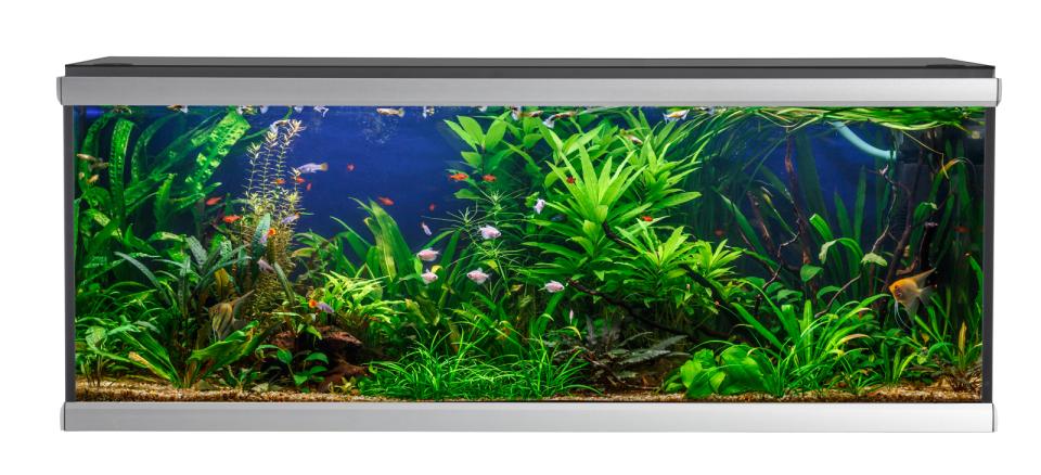 AkvaStabil MOVE akvarium - 576 liter