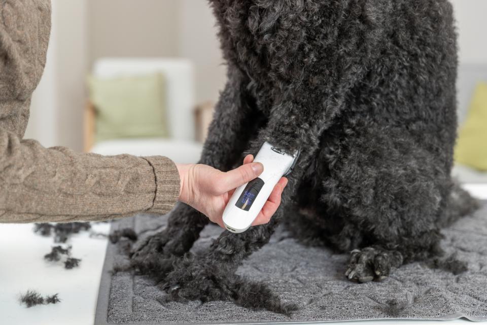 Trixie Battery Clipper TR1600