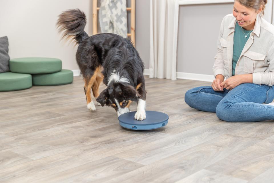 Trixie Dog Activity Rocking Maze, plast