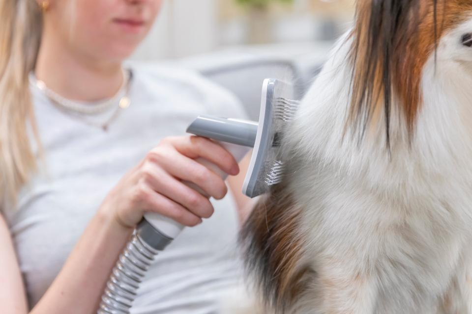 Trixie klippesæt med pels støvsuger