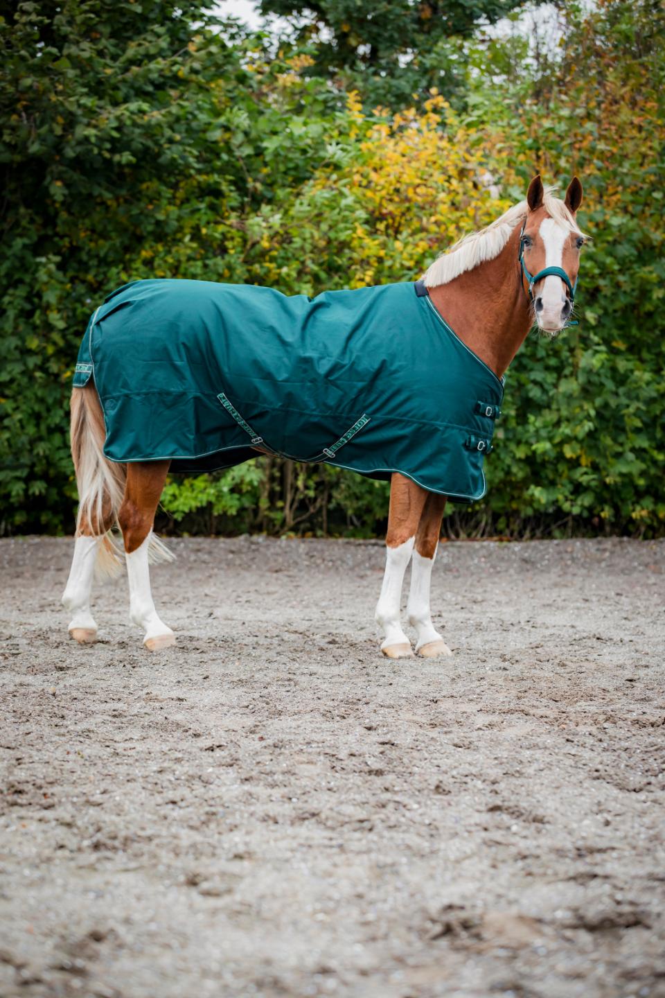 Horse Guard Landon 1200D Weidedecke, Standardhals, 200g