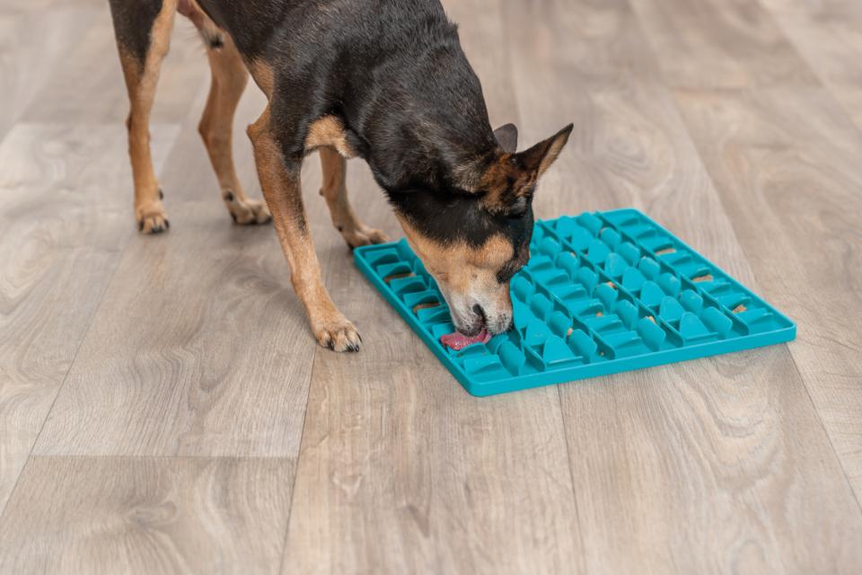 Trixie Lick'n'Snack måtte