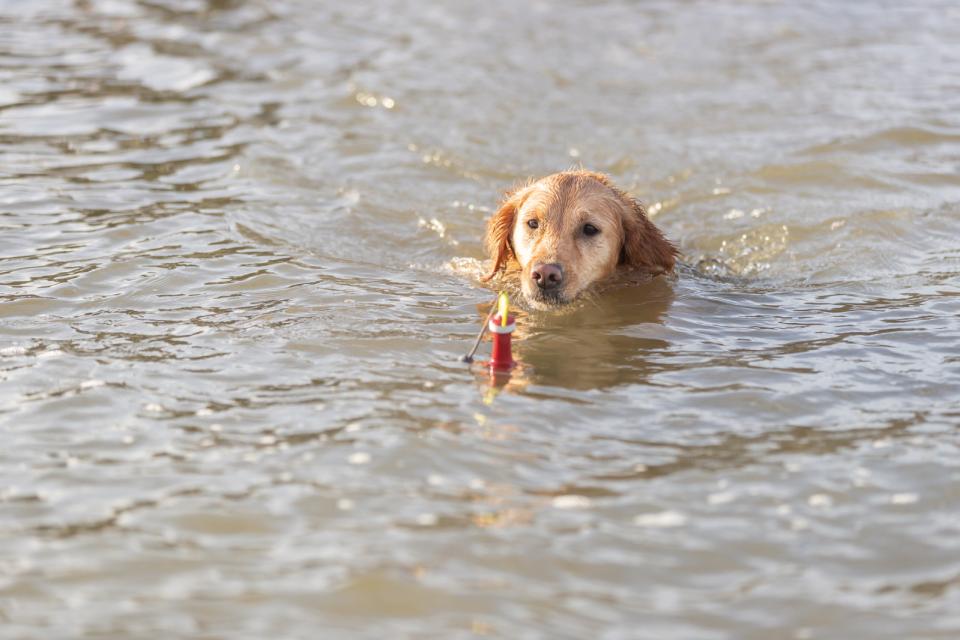 Trixie Aqua legetøj snack bøje i TPR