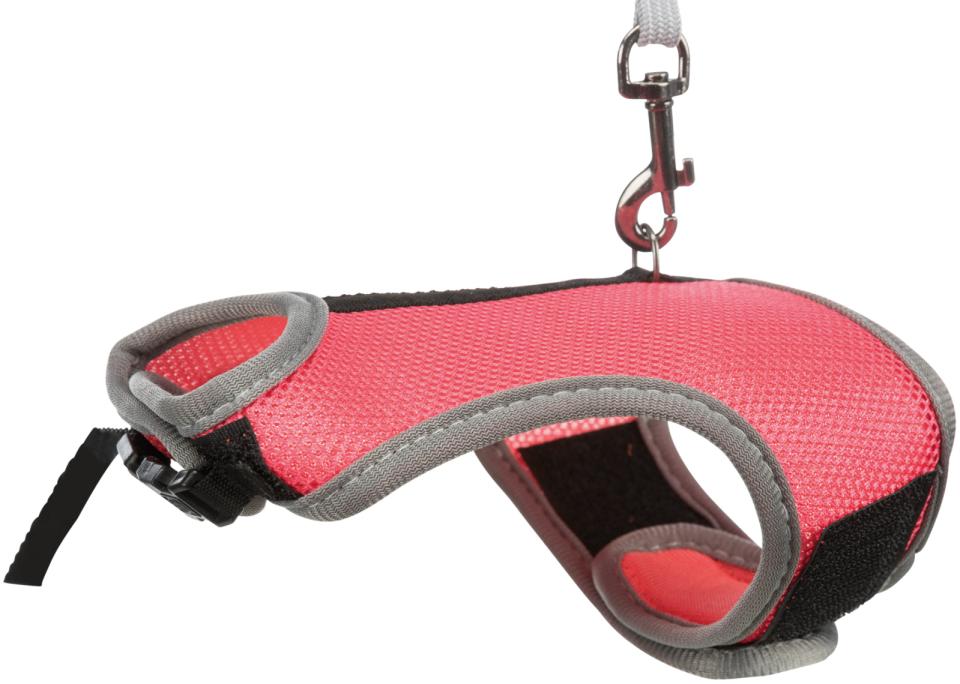 Soft Harness with Leash