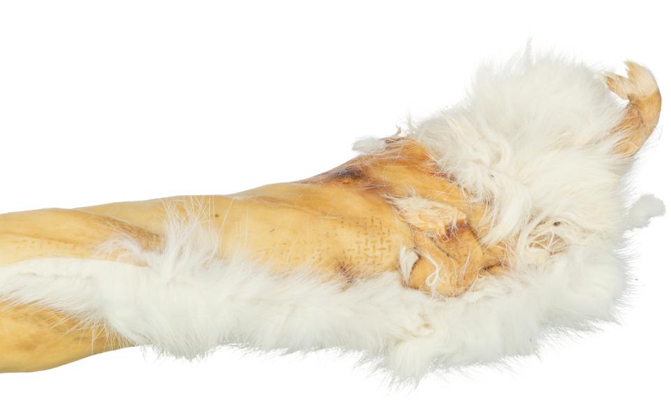 Trixie Rabbit skin roll with fur, 45–50 cm, 85 g