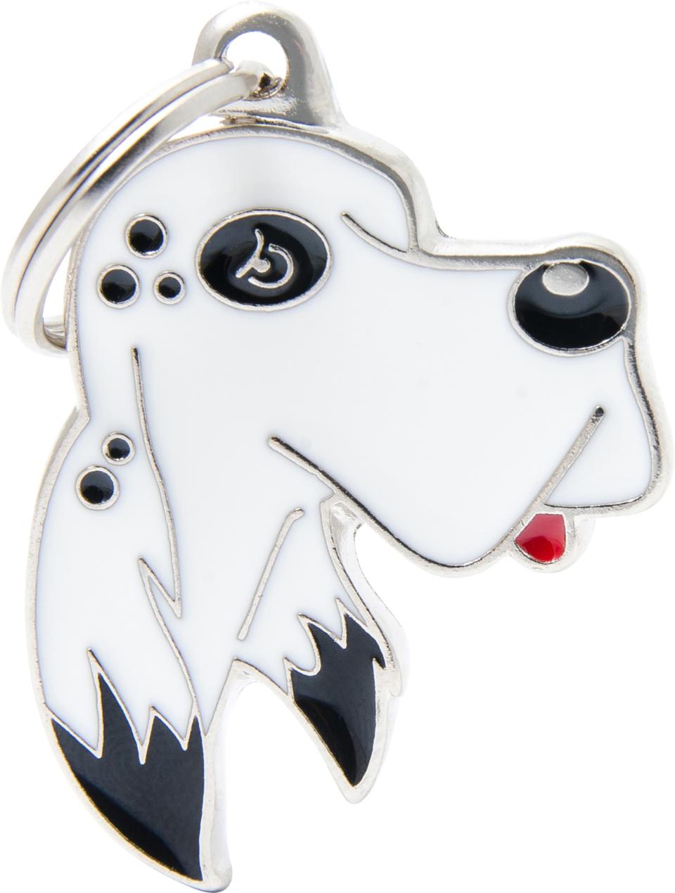 MyFamily Friends, Engelsk setter